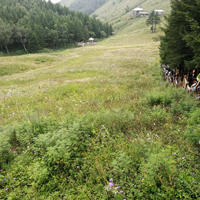 云里雾里大山风景头像图片,坨梁景区太美丽了