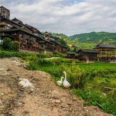 原始生态绝美风景头像 真实的现实中的美景图片