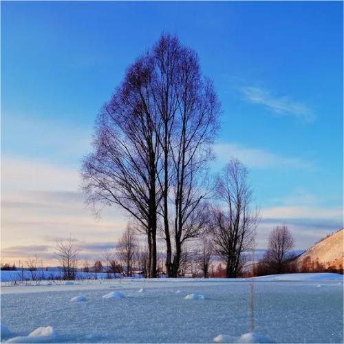 美醉了的山水风景微信头像，太好看了