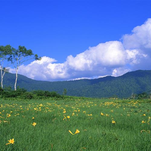 中老年头像微信头像风景图片，这样的风景我感觉是很美的