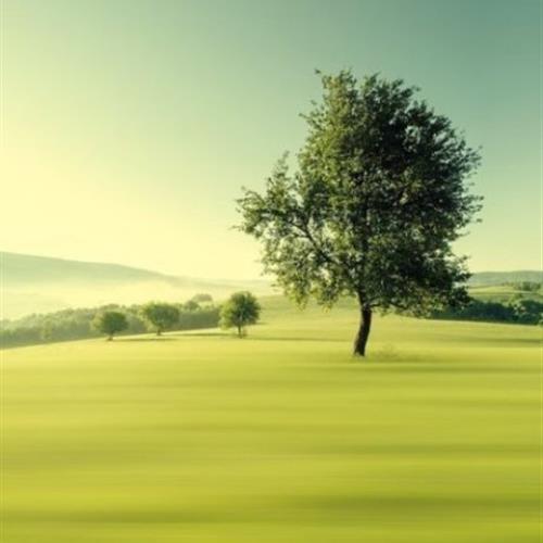 浅绿色风景头像，给人一种自然、舒适的感觉