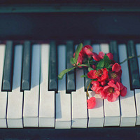 个性唯美钢琴头像图片,乐器之王,弹出最动听的曲子