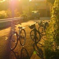 自行车唯美高清图片头像,骑上爱车去旅行吧
