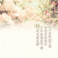 爱复古,还是喜欢意境,好看文字个性头像
